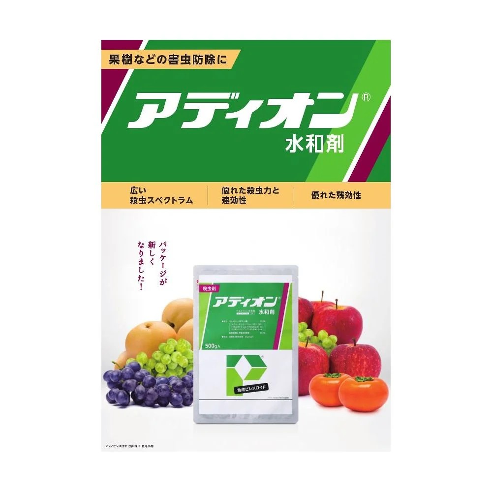 アディオン水和剤　５００ｇ
