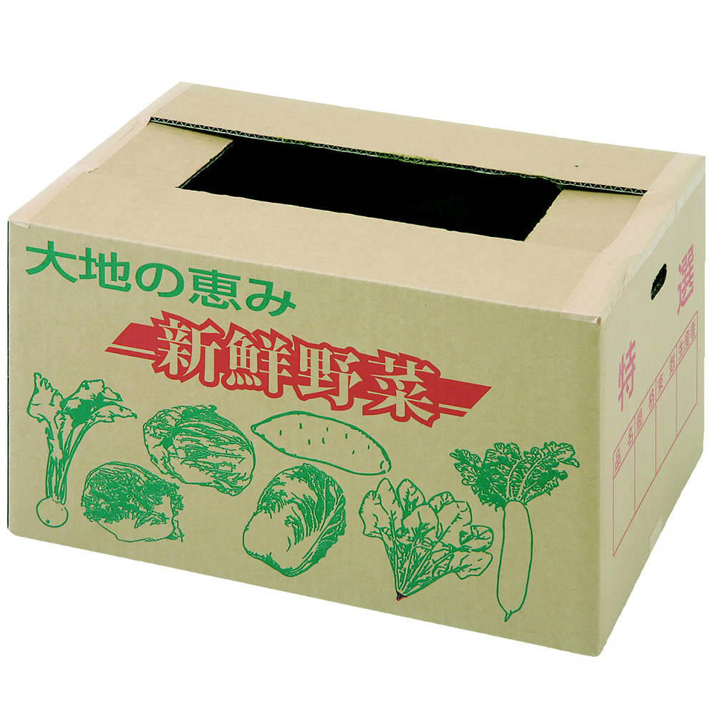 出荷ダンボール　新鮮野菜　（大）