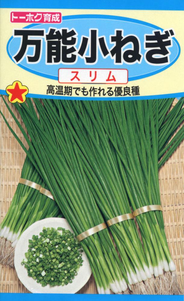 ネギ種子　万能小ねぎ　スリム