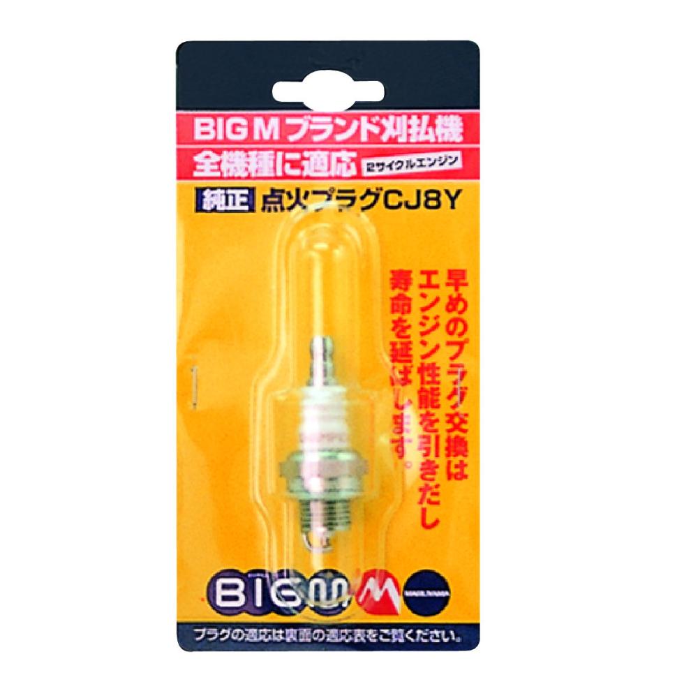 ＢＩＧ－Ｍ　純正プラグＣＪ８Ｙ