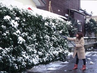 雪崩・ツララ落し　伸縮式　３ｍ