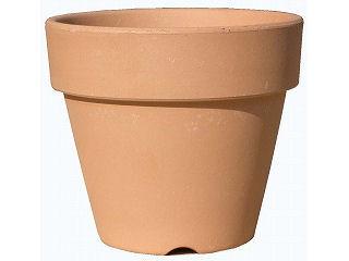 素焼鉢　深　５号