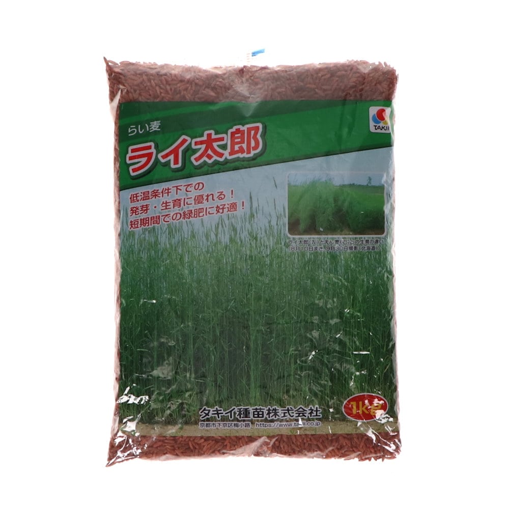 【緑肥種子】　らい麦　ライ太郎（超極早生）　１ｋｇ　５袋単位　店着送料不要
