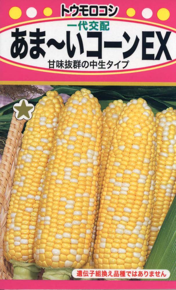 あま～いコーンＥＸ