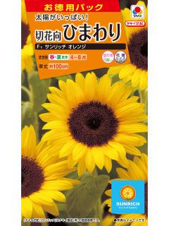 ヒマワリ種子　切花向ひまわり　サンリッチオレンジ　徳用