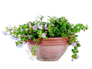 ＤＥＧＲＥＡ　ボール　２８×１３ｃｍ