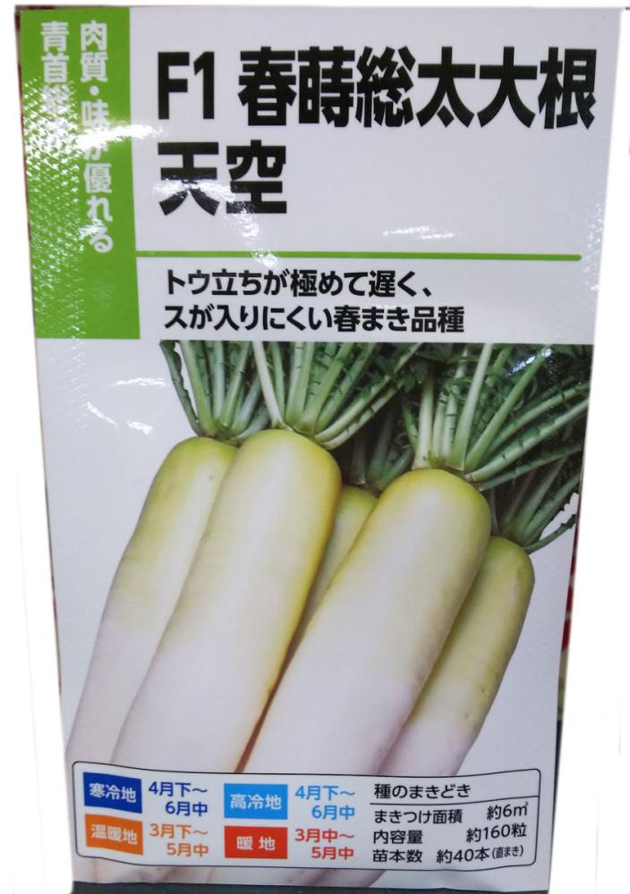 ダイコン種子　一代交配　春蒔総太大根　天空
