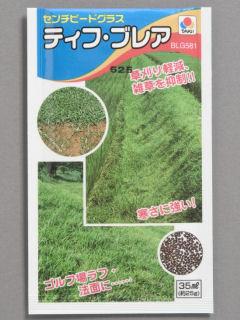 土壌改良種子　センチピートグラス　ティフブレア（タキイ）
