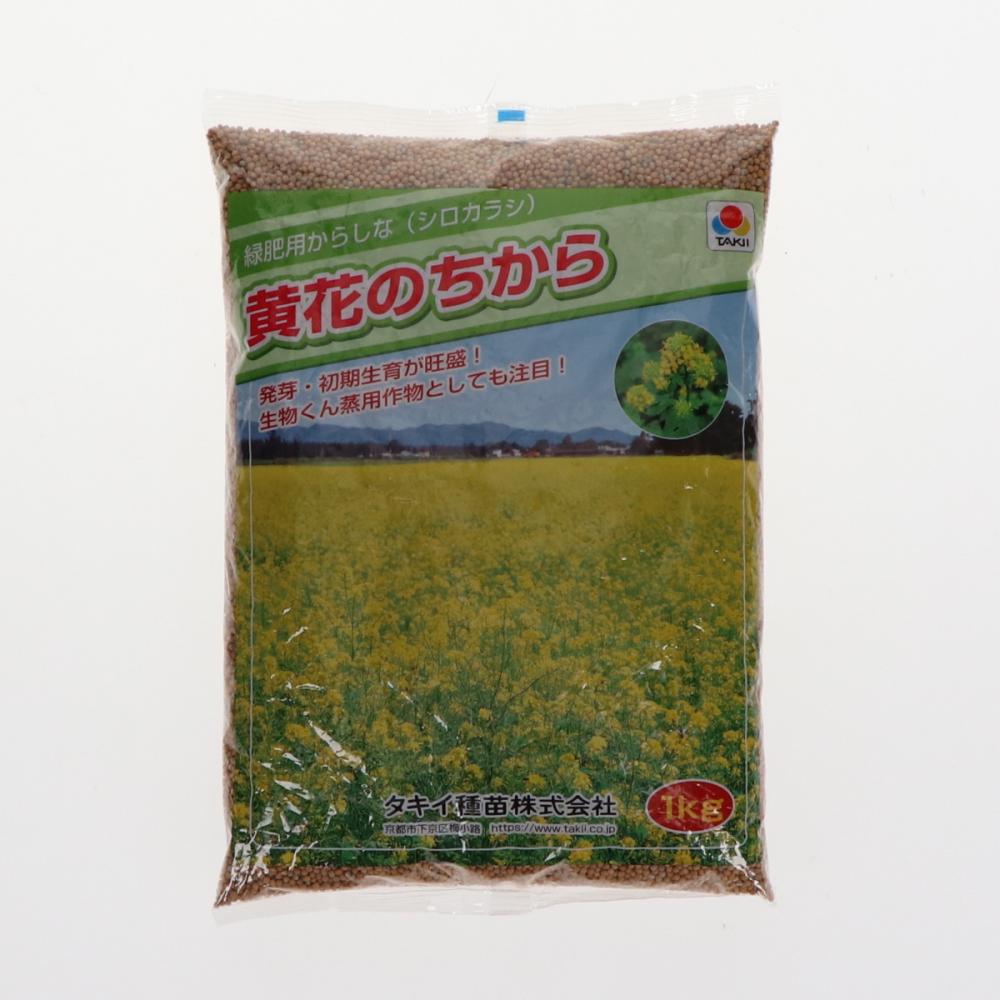 【緑肥種子】　緑肥用からしな　黄花のちから　１ｋｇ　５袋単位　店着送料不要