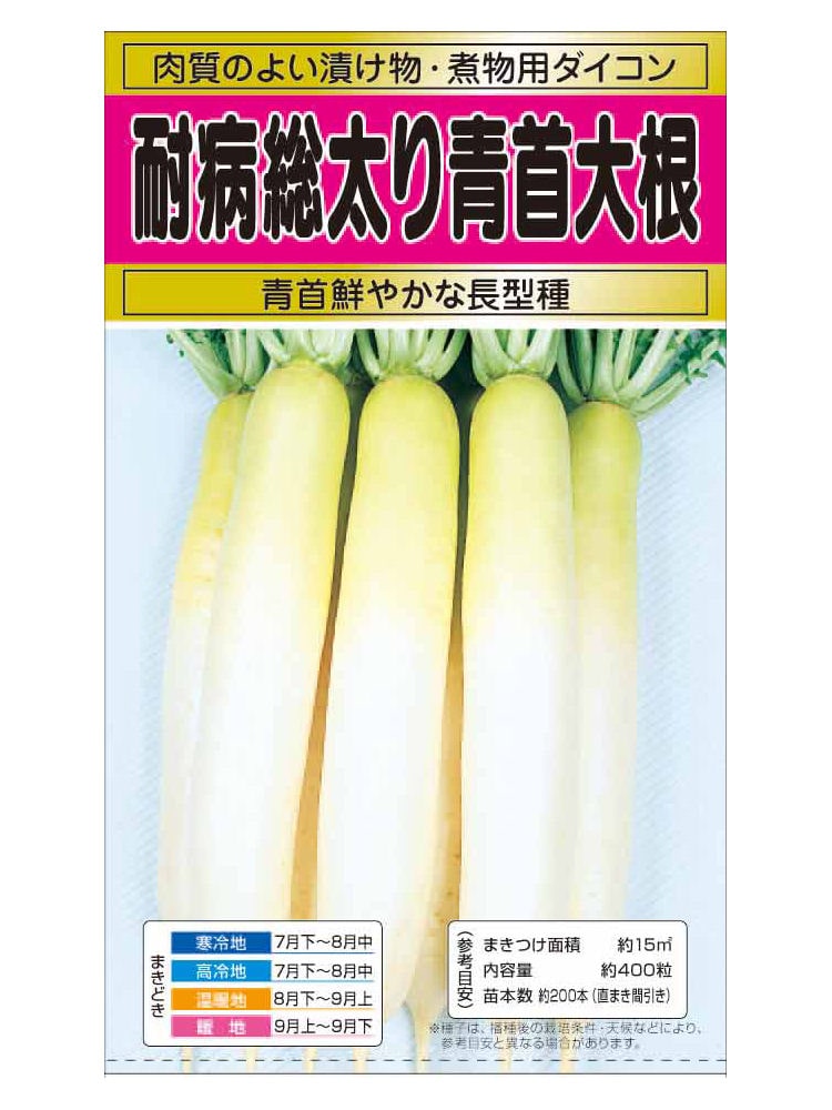 耐病長太青首大根