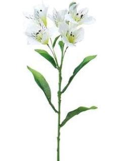 アルストロメリア（白）　　ＦＦ－２６０３　Ｗ