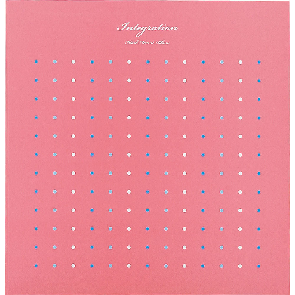 ナカバヤシ　１００年台紙アルバム　Ｌサイズ　ＬＤＨ－１００１－Ｐ