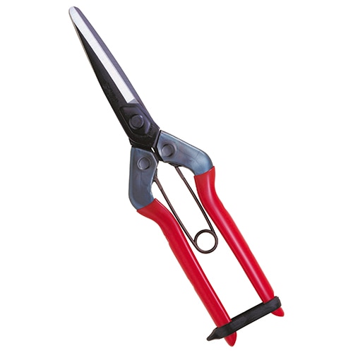 チカマサ　青果鋏　Ｔ－７０１