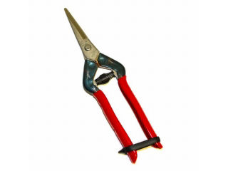 チカマサ　ステンレス芽切鋏Ｔ－５５ＳＨ