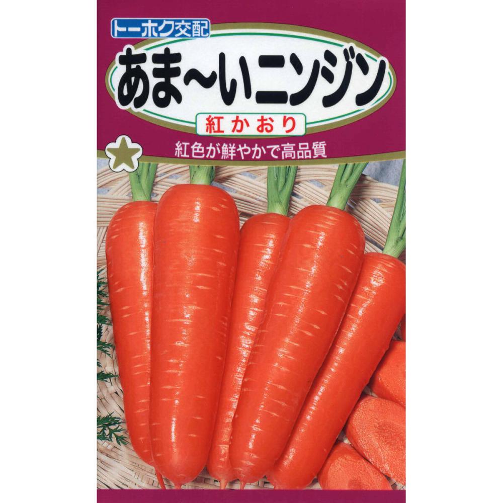 ニンジン種子　Ｆ１あま～い紅かおり