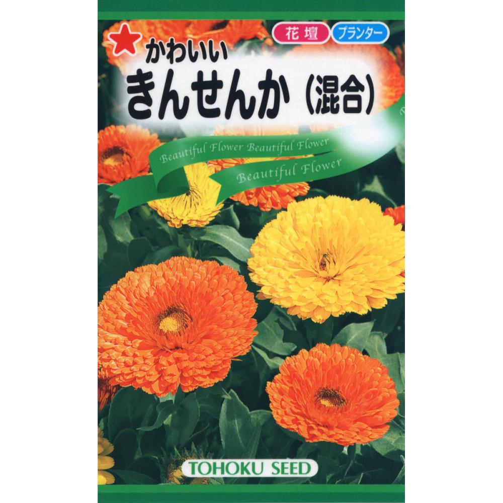 かわいい　きんせんか　（混合）