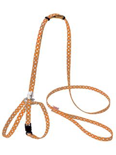 ペティオ　ＣＬドットハーネスリード　オレンジ