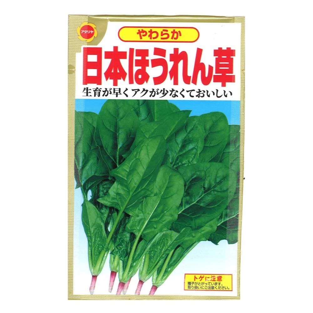 日本ほうれん草