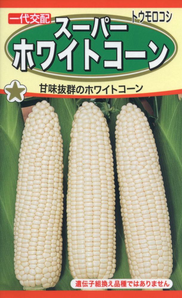 トウモロコシ種子　スーパーホワイトコーン