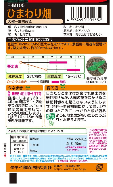 ヒマワリ種子　ひまわり畑　徳用　一重黄色