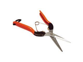 サボテン　衝撃吸収　芽切鋏　ＡＧ－８