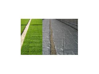 シルバーポリ（水稲用）　０．０５×２３０×１００