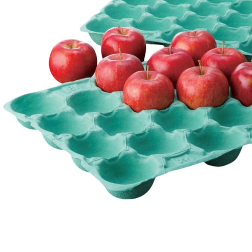 ＰＥＴリンゴパック　１６Ｈ