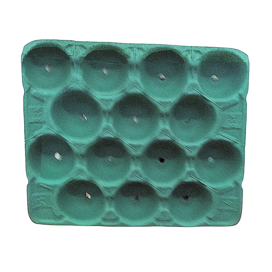 モウルドパック（りんご５ｋ用）１４Ｈ