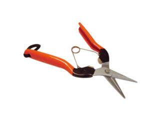 サボテン　摘果鋏　ＡＧ－７