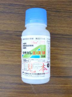 タチガレエースＭ　液剤　１００ｃｃ