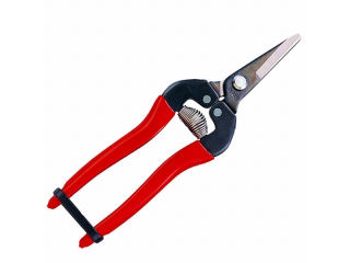 アルス　摘果鋏ショートタイプ　　　３００Ｓ－ＢＰ