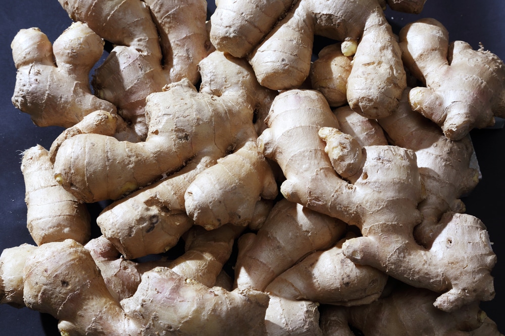 【春予約】　中国産　大身しょうが　１ｋｇ　【申込期限：３月２２日（日）】　【引渡予定日：４月１１日（土）～１９日（日）】