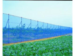 防風ネット　１×５０ｍ　ブルー