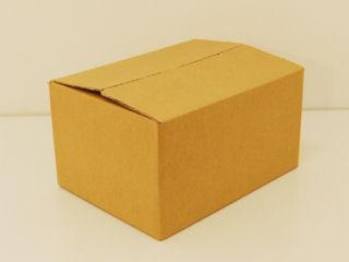 段ボール　ＮＯ．１　幅２５０×奥行１９０×高さ１４０