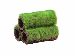 小さな和の庭土管　Ｓ