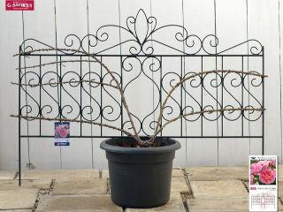 デザイントレリス　８８５