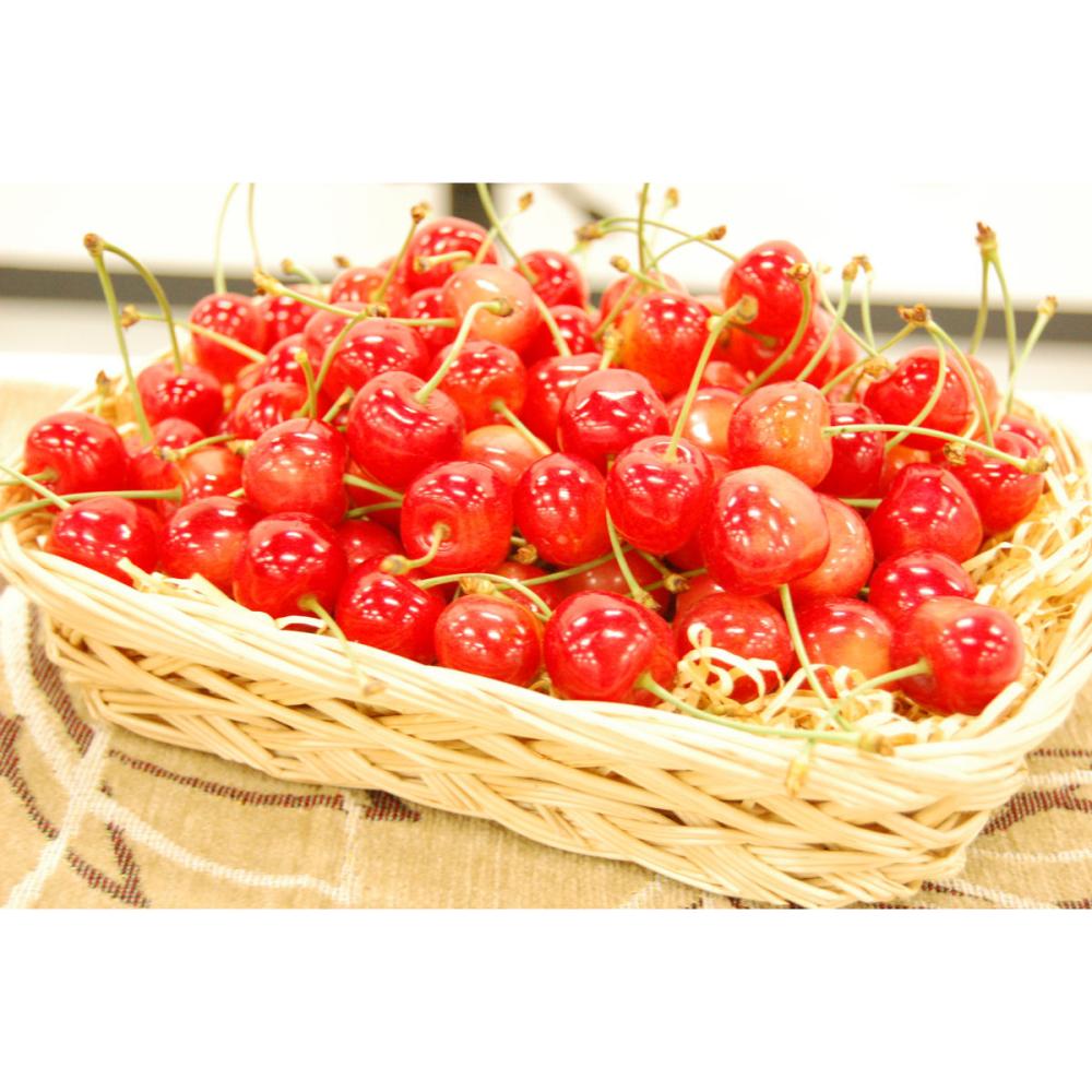 【注文期限：６月２０日】山形県西村山郡河北町　さくらんぼ　佐藤錦　Ｌサイズ　バラ詰め　約１ｋｇ