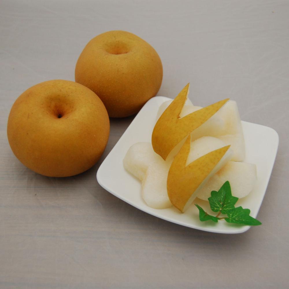 【注文期限：9月5日】新潟県産　小杉農園こだわりの幸水梨　約３ｋｇ（８～１０玉入）