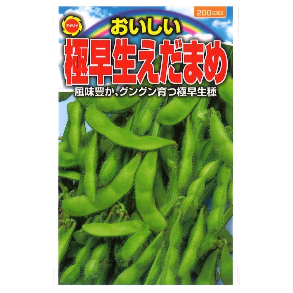 エダマメ種子　おいしい極早生えだまめ