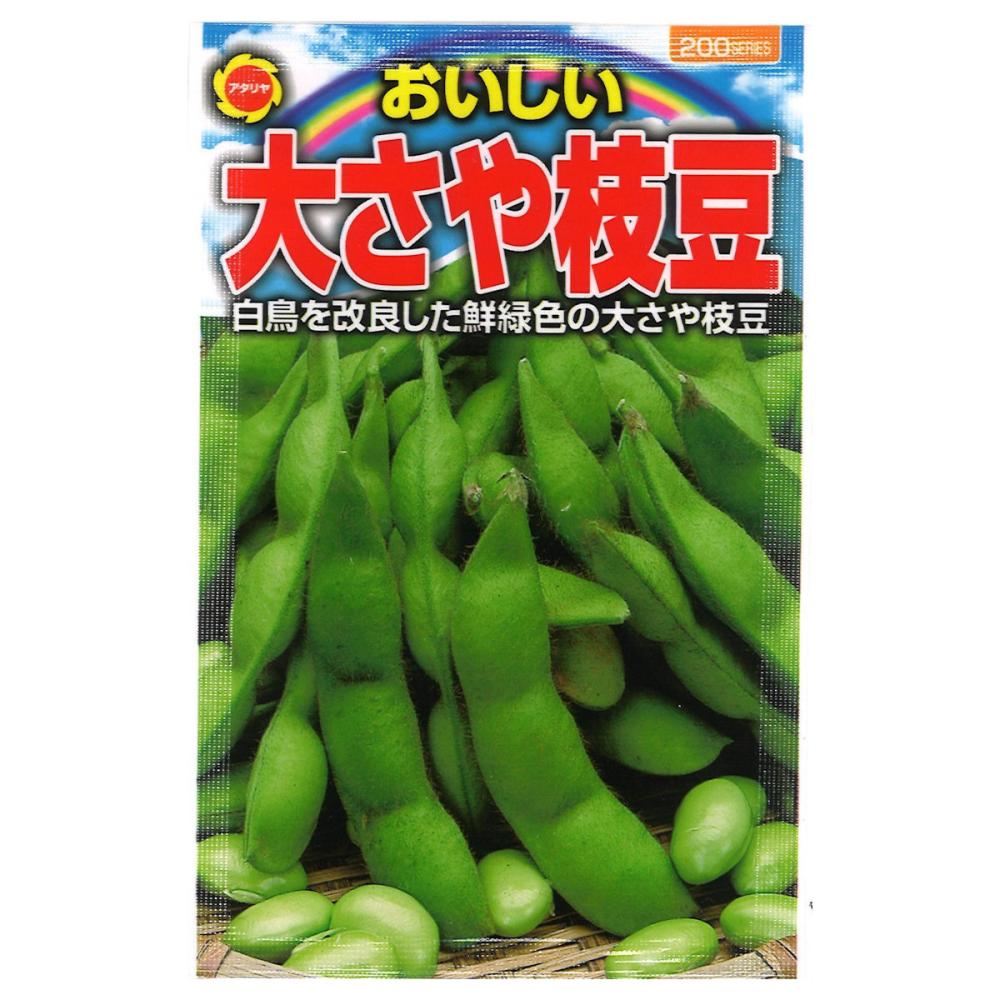 エダマメ種子　おいしい大さや枝豆