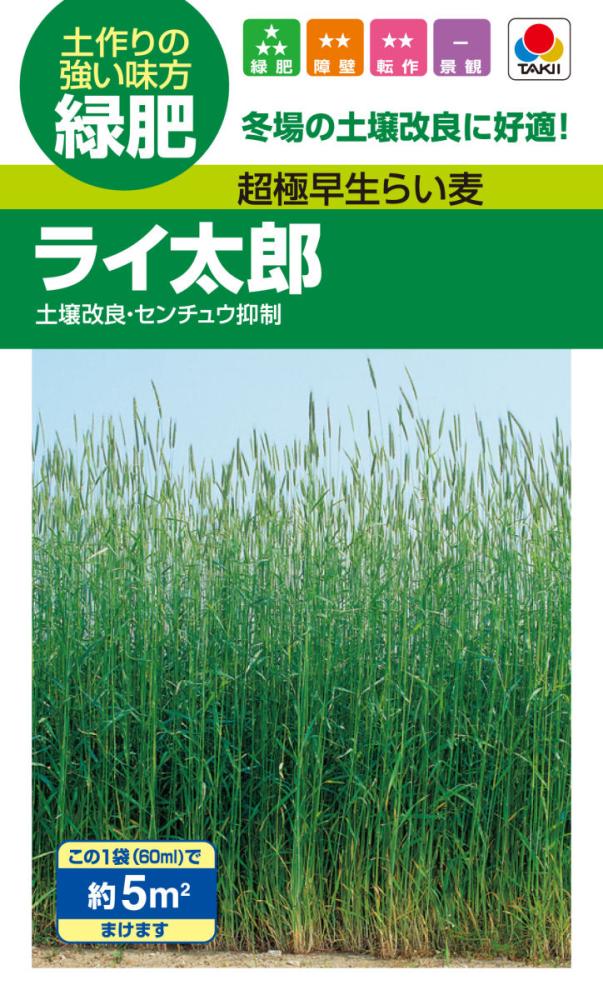 土壌改良種子　タキイ　ライ麦　らい太郎