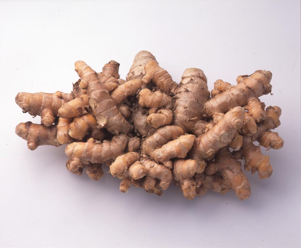 【春予約】　国産　秋ウコン　１５０ｇ　【申込期限：３月２２日（日）】　【引渡予定日：４月１１日（土）～１９日（日）】