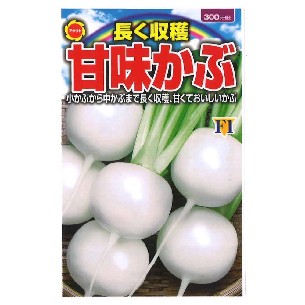 カブ種子　長く収穫　甘味かぶ