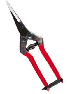 近正　芽切鋏　ＪＰ－５５