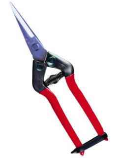 近正　ステンレス　芽切鋏　ＪＰ－５５Ｓ