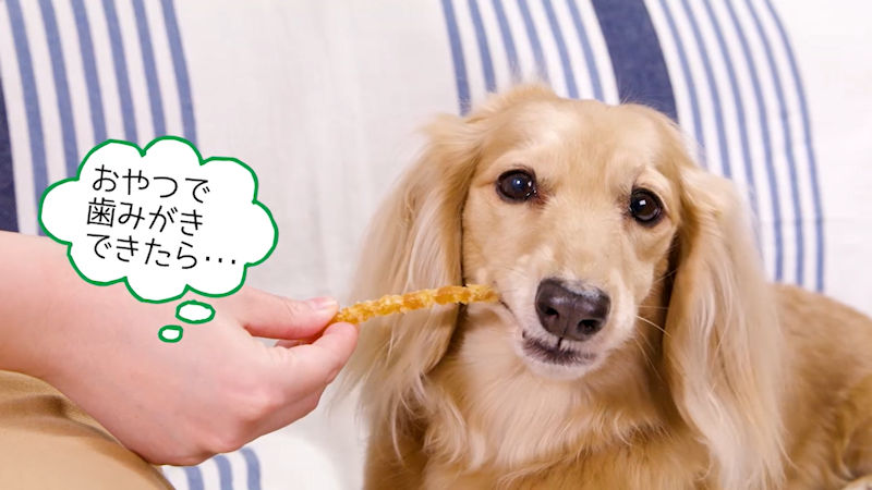 商品動画サムネイル