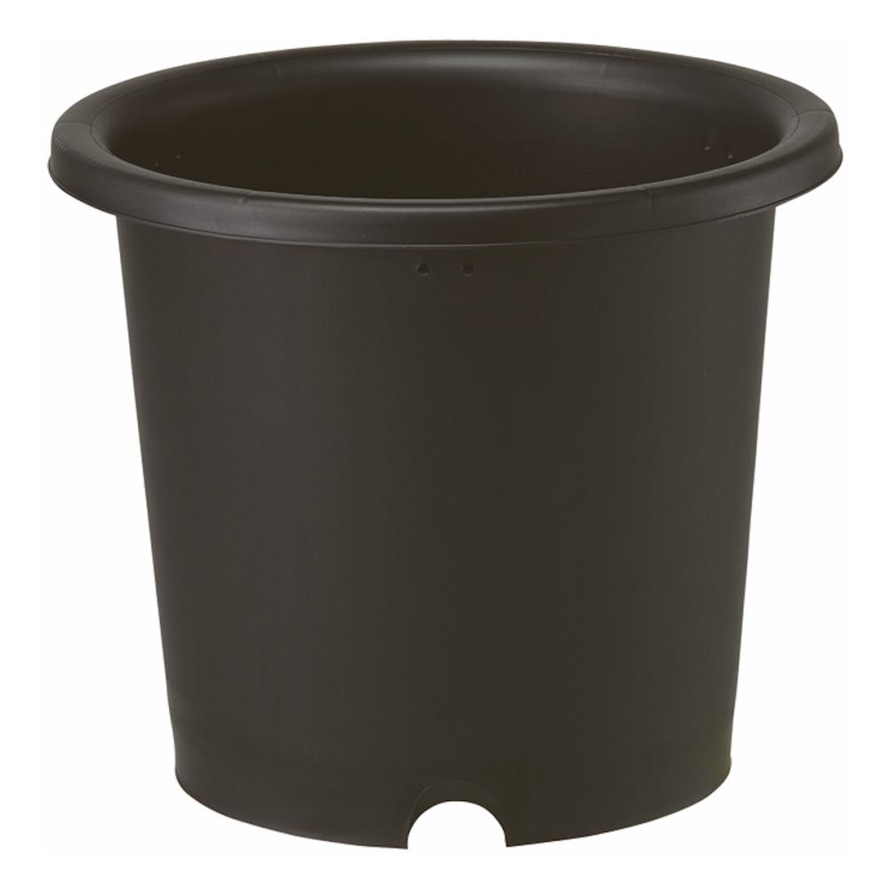 菊鉢　１０号　ブラック