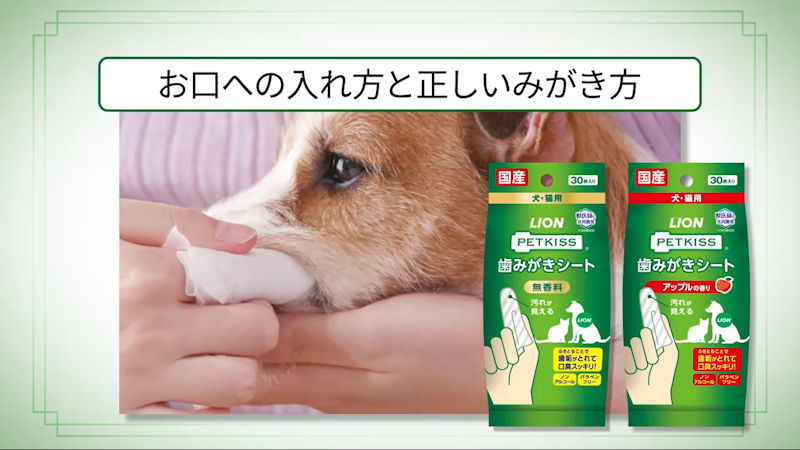 商品動画サムネイル