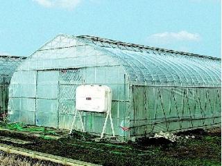 農ビ原反　ＥＮＧＥＩ　０．１×１５０×１００