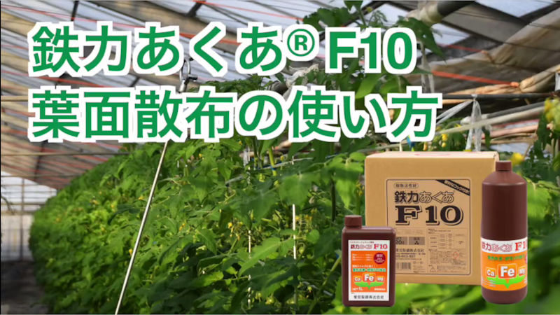 商品動画サムネイル